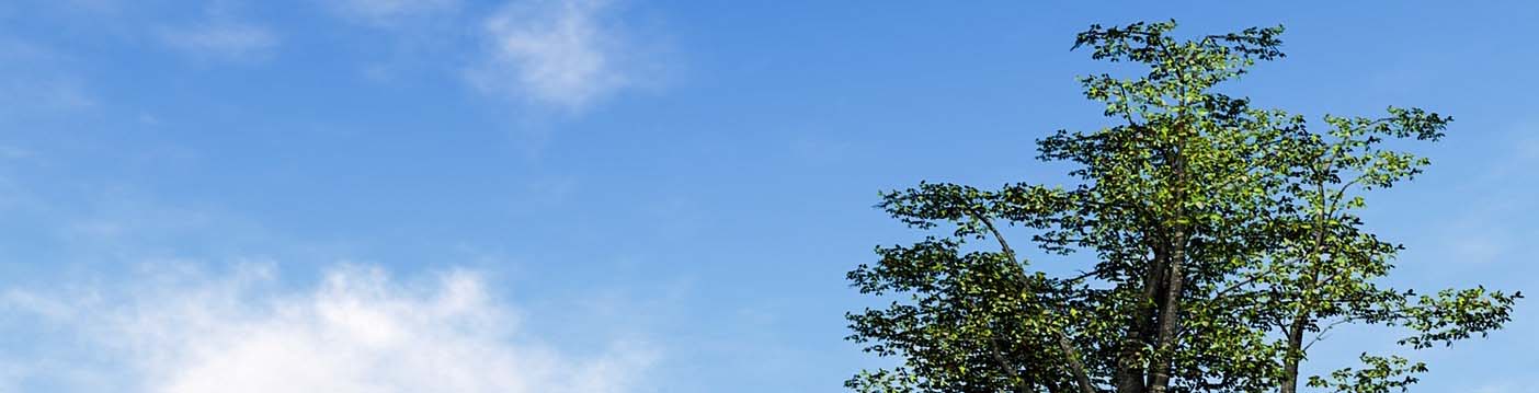 大空と大地と緑の丘