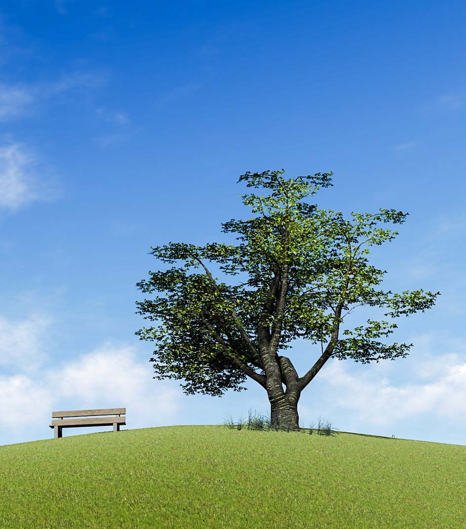大空と大地と緑の丘