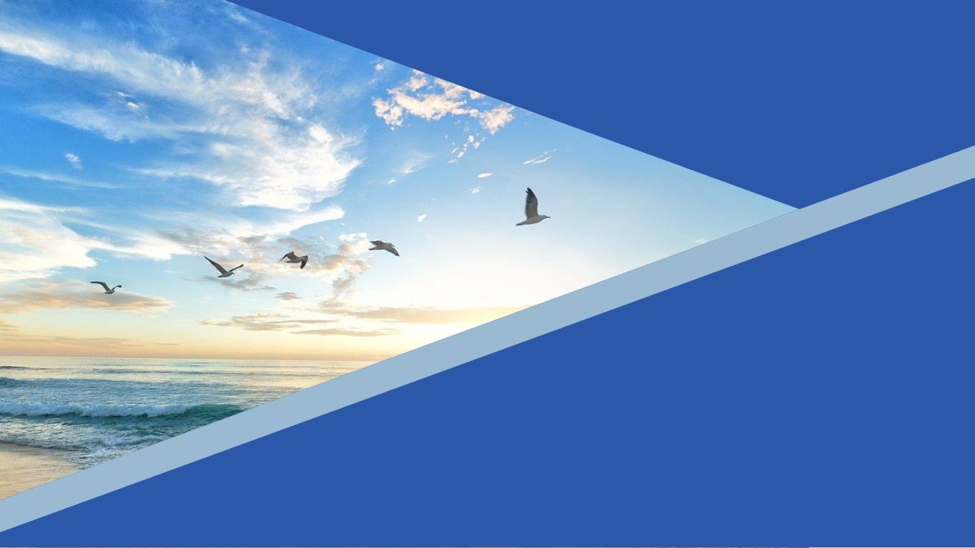 合同会社フライハイト